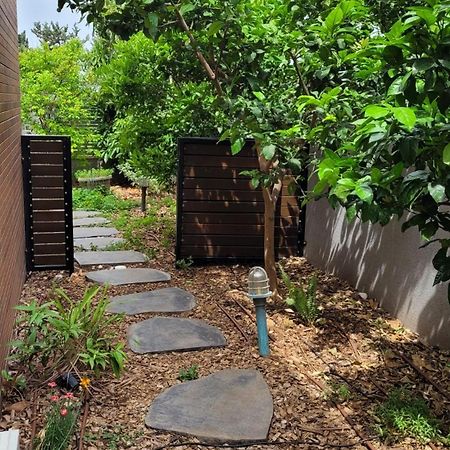 נקודות ריפוי Apartment Tirat Carmel Bagian luar foto
