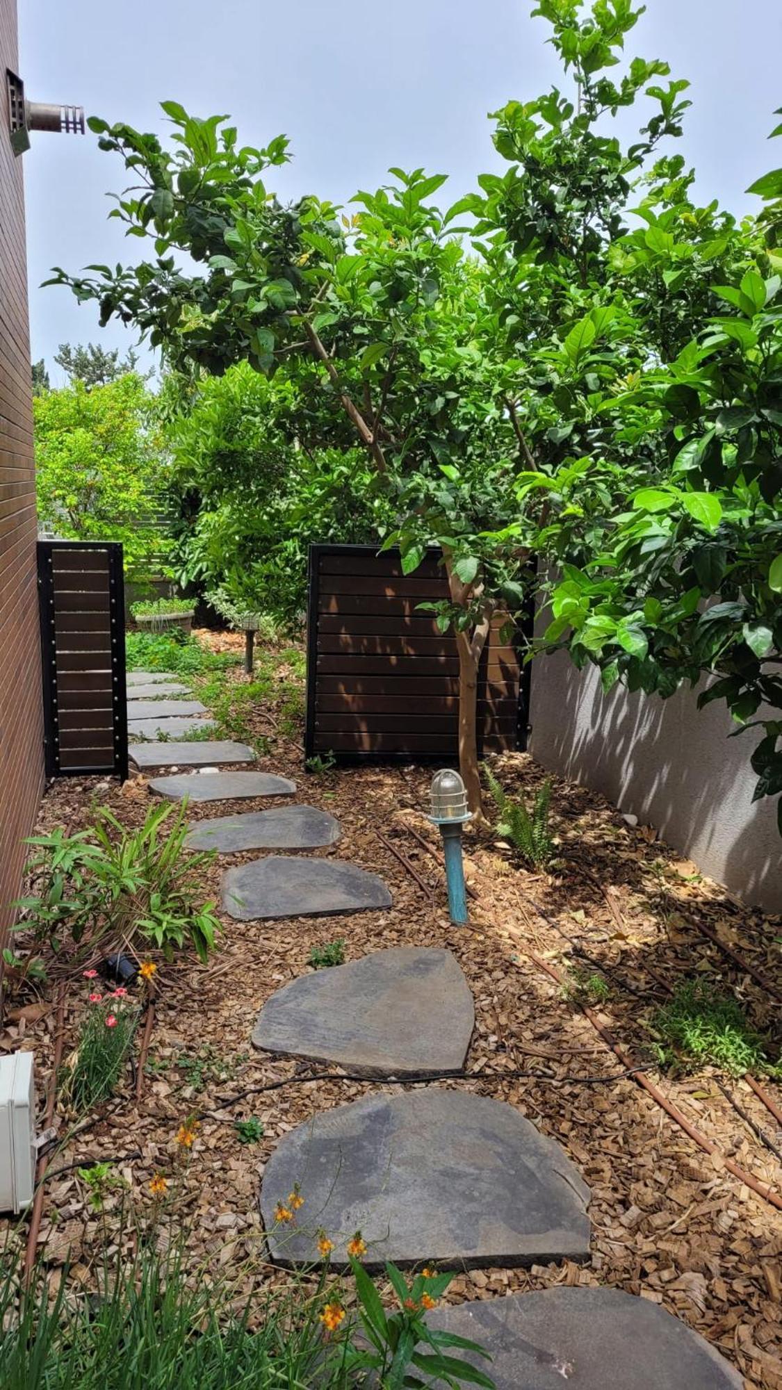 נקודות ריפוי Apartment Tirat Carmel Bagian luar foto